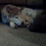 Profile Picture of Dustin Marion (@epicrunningback) on Instagram