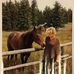 Profile Picture of Lorri Keys (@Lorri-Keys) on Facebook