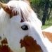 Profile Picture of Steve Barbee (@steve.barbee.988) on Facebook