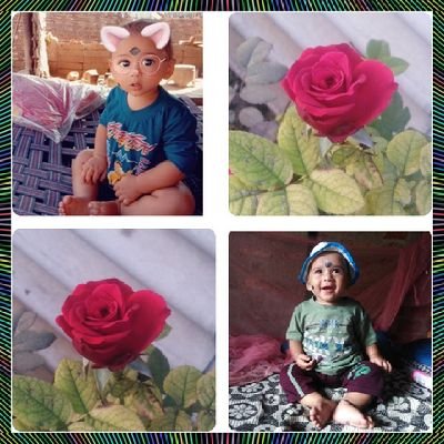 Profile Picture of Panthagani Rajashekhar (@PanthaganiRaja1) on Twitter