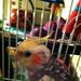 Profile Picture of Kaelin Wubbels (@Alphy80) on Pinterest