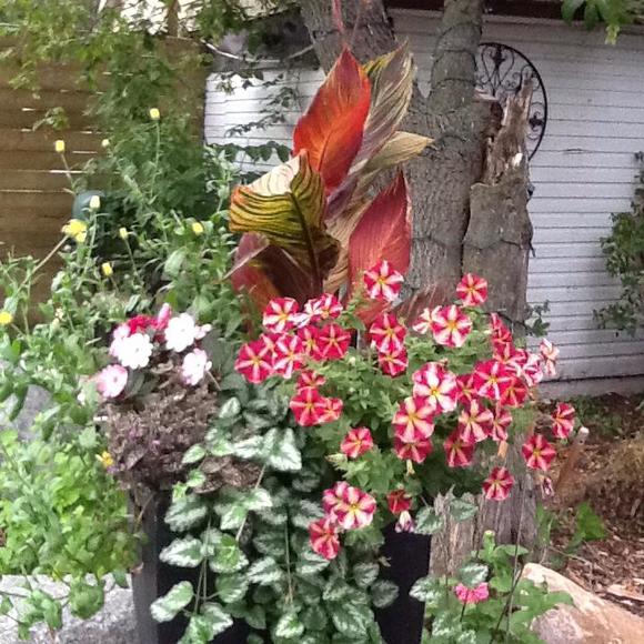 Profile Picture of Anne Loughrin (@anneloughrin) on Poshmark