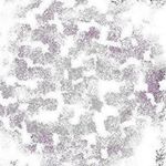 Profile Picture of Nathan Hemmings (@nathan_hemmingsuhs3j) on Instagram