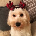 Profile Picture of Sharon Lockyer Sherrington (@lockyersherrington) on Instagram