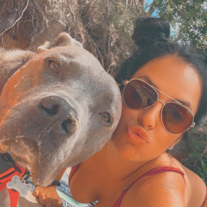 Profile Picture of Brandy Hodge (@@b_lynn1991) on Tiktok