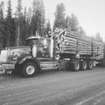 Profile Picture of James Loewen (@jloewen95) on Instagram