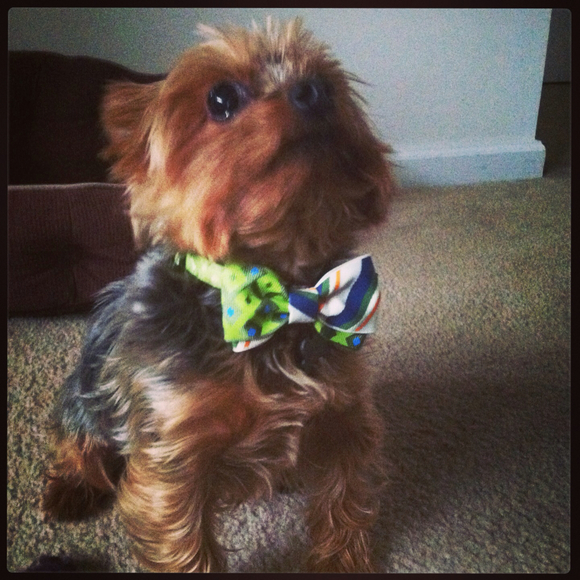 Profile Picture of Laney Guice (@goosebox1) on Poshmark