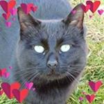 Profile Picture of Boisvert Monique (@boisvert.monique.52) on Instagram