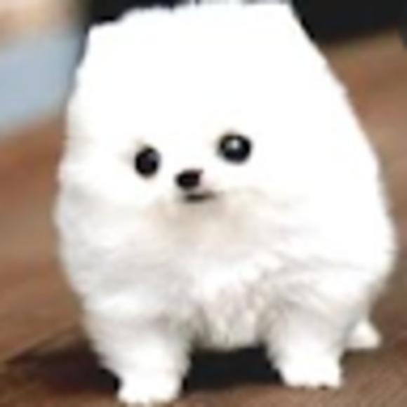 Profile Picture of David Hildebrand (@dlhildebrand77) on Poshmark