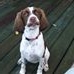 Profile Picture of Phillip Hendricks (@phillip.hendricks.94) on Facebook