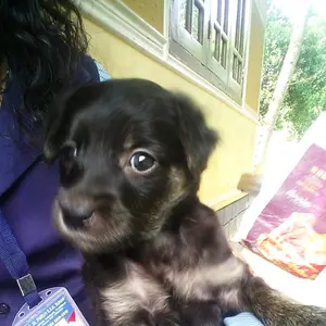 Profile Picture of Thara (@gowrylekshmithara) on Tiktok