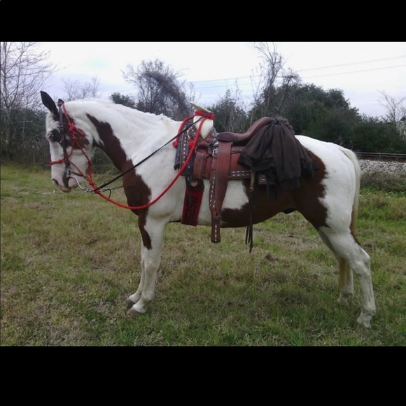 Profile Picture of Bertin Aguilera (@0227bertin) on Poshmark