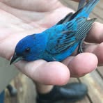 Profile Picture of Jason Gokey (@jason.gokey.12) on Facebook