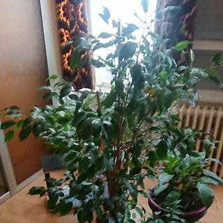 Profile Picture of David Poignant (@david.poignant.90) on Facebook