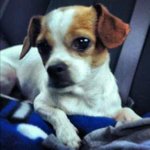 Profile Picture of Leann (@maxinehightower716) on Instagram