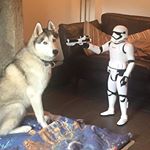 Profile Picture of Robert Kenyon (@dakotaboo73) on Instagram