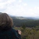 Profile Picture of Lynn Sledge (@sledge.lynn) on Instagram