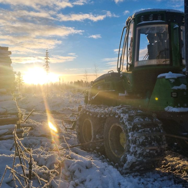 Profile Picture of Erik Nordin (@eriknordin) on Tiktok