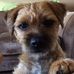 Profile Picture of Michael Willison (@michael.willison.1654) on Facebook