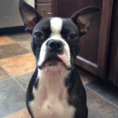 Profile Picture of Scott Miller (@13Milhouse) on Twitter