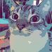 Profile Picture of Christopher Colbert (@christopher.colbert.96) on Facebook