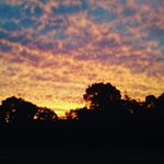 Profile Picture of Phoebe (@phoebe_connor420) on Instagram