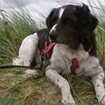 Profile Picture of Erika Roswitha Grimmer (@erigri31) on Instagram