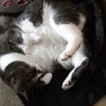 Profile Picture of Katie Redding (@idontkn0whyimhere) on Instagram