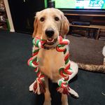 Profile Picture of Tim Erickson (@tim.erickson.750) on Instagram