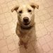 Profile Picture of Tyler Quandt (@quandt1711) on Pinterest