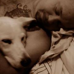 Profile Picture of John Fletcher (@fletcherous) on Pinterest