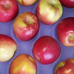 Profile Picture of Howard Quach (@howard_q) on Instagram