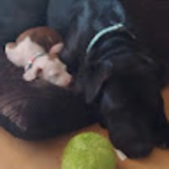 Profile Picture of Austin Maxwell (@austinmaxwel456) on Poshmark