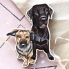 Profile Picture of Andrey & Barney (@gaffno) on Tiktok