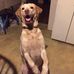 Profile Picture of Jean Wolfe (@jean.wolfe.10485) on Facebook