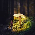 Profile Picture of Brandon (@navindraaa) on Instagram