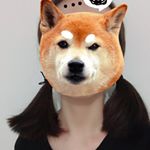 Profile Picture of 谢尹 (@xiejiexiexiexiexie1ya) on Instagram