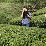 Catherine_raymond❤️ - Instagram Profile Picture of Catherine_raymond❤️ (@cat_raymond_) on Instagram