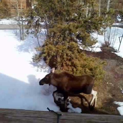 Profile Picture of Bob Nix (@NixJebnix) on Twitter