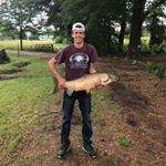 Profile Picture of nelsonwalker (@nelsonwalker) on Instagram