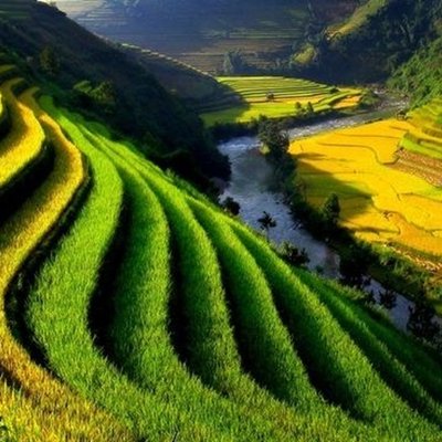 Profile Picture of Hoang Ai Vy (@AiVy06) on Twitter