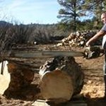 Profile Picture of Thomas Hamblin (@thomas.hamblin.14) on Instagram