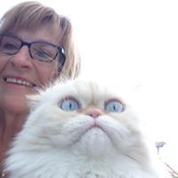 Profile Picture of Ruth Bilodeau (@laxa99) on Pinterest