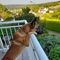 Profile Picture of Armand Conti (@armand.conti.7) on Facebook