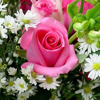 Profile Picture of Jasmine Pappalardo (@jasminepappalardo7) on Facebook