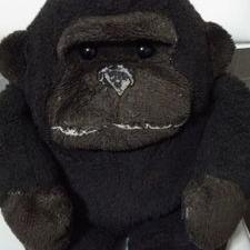 Profile Picture of モゲギョ星人 (@gori_bob) on Twitter