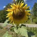 Profile Picture of Robin Wiggin (@Robin-Wiggin) on Facebook