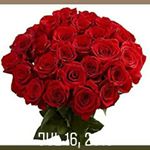 Profile Picture of DANEIL (@daneildailey55) on Instagram