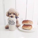 Profile Picture of Herbert (@yuen2343) on Instagram