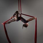 Profile Picture of Michelle Mooney (@michellem.aerial) on Instagram